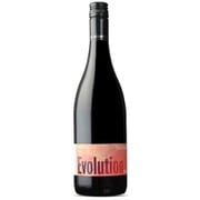 エヴォリューション ビッグ タイム レッド 赤ワイン 13.5度 750ml [赤ワイン]