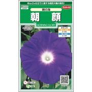 朝顔 暁の海 1袋