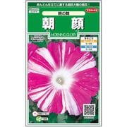 朝顔 暁の舞 1袋