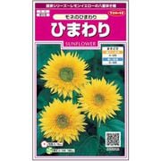 ひまわりモネのひまわり 約15粒