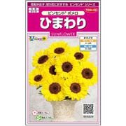 ひまわり ビンセントポメロ 1袋