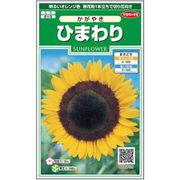 ひまわり かがやき 約14粒