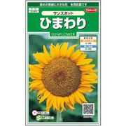 ひまわり サンスポット 1袋