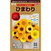 ヒマワリ ビンセント ミックス 1袋