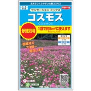 景観用大袋 コスモス センセーションミックス 1袋