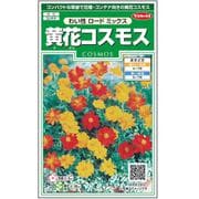 黄花コスモス わい性ロードミックス 1袋