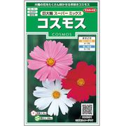 コスモス 巨大輪スーパーミックス 1袋