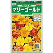 マリーゴールド一重咲き混合 1袋