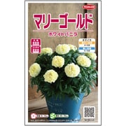 マリーゴールド ホワイトバニラ 1袋