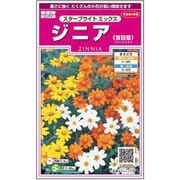 ジニアスターブライトミックス 1袋