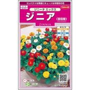 ジニアジニータミックス 1袋