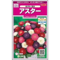 アスターあずみ混合 1袋