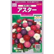 アスターあずみ混合 1袋