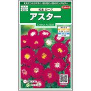 アスター 松本ローズ 1袋