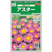 アスター 松本ピンク 1袋
