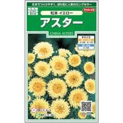 アスター 松本イエロー 1袋