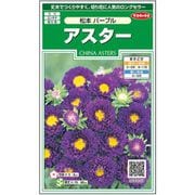 アスター 松本パープル 1袋