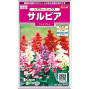 サルビアシズラーミックス 1袋
