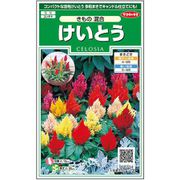 けいとう きもの混合 1袋