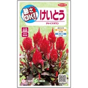 暑さOK！けいとう チャイナタウン 1袋