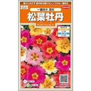 松葉牡丹一重咲き混合 約215粒