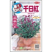 千日紅 ネオンローズ 1袋