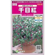 千日紅ちなつミックス 1袋