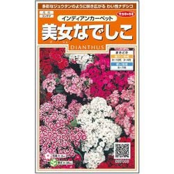 美女なでしこインディアンカーペット 1袋