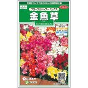 金魚草 フローラル シャワーミックス 1袋
