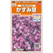 かすみ草 エレガンスローズ 1袋