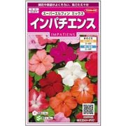 インパチェンススーパーエルフィン ミックス 1袋