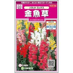 金魚草ソネットミックス 1袋