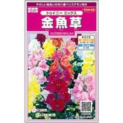 金魚草 トゥイニーミックス 1袋