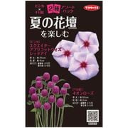 夏の花壇を楽しむ ビンカ×千日紅 1袋
