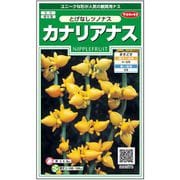カナリアナスとげなしツノナス 1袋