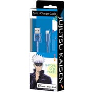 五条悟 Lightning&TYPE-Aケーブル 1m AL-1M-GOJO