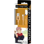虎杖悠仁 Lightning&TYPE-Aケーブル 1m AL-1M-ITADORI