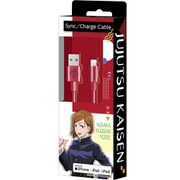 釘崎野薔薇 Lightning&TYPE-Aケーブル 1m AL-1M-KUGISAKI