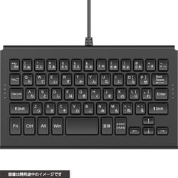 ヨドバシ.com - サイバーガジェット CYBER Gadget CY-NSOUSKB-BK [SWITCH/SWITCH有機EL用 USBキーボード]  通販【全品無料配達】