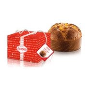 パネットーネ・クラッシコ 化粧箱入り 500g