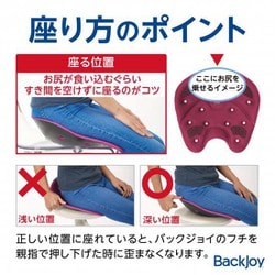 backjoy メディコアリリーフプロ　ミニ お試しレンタルサービス メディコアリリーフPRO レギュラー