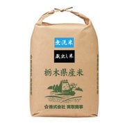 無洗米 栃木県産 蔵出し米 30kg 令和4年産