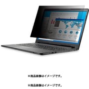 プライバシーフィルター 19インチ 抗菌 ブルーライトカット EF-PFK19