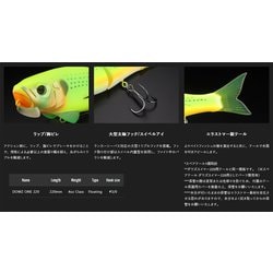 ヨドバシ.com - ジャッカル JACKALL ダウズワン220 コノシロスーパーチャート 通販【全品無料配達】