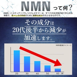 ヨドバシ.com - 日本商品バンク 5次元NMN12000 [ニコチンアミドモノ
