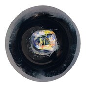 アート皿 365日シリーズ for camera people お腹の中はまっくろや！