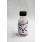 梅と鶯柄 梅のお塩 95g