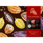 限定 鈴木栄光堂 ポリフォン 1箱（6粒入）