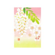 88641006 [限定 ポストカード641 桜とはりえんじゅ柄]