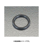 EA423RB-11.2 [P-11.2 オーリング（10個）]